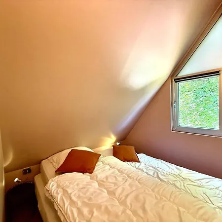 De Buizerd مالميدي